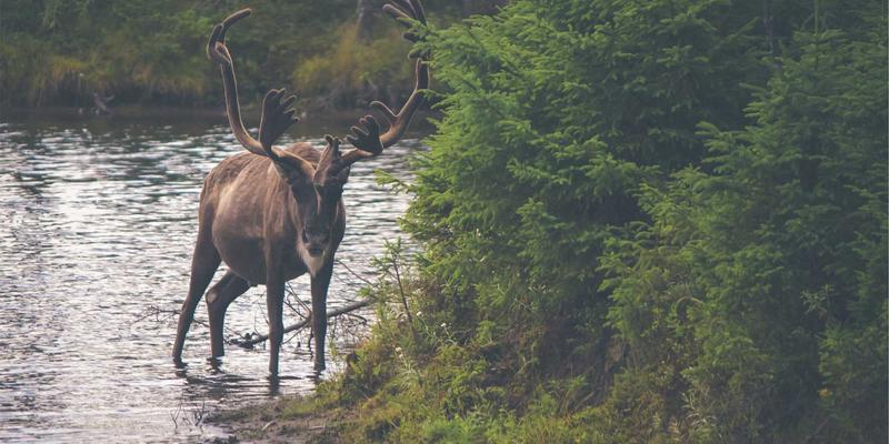 郑州不锈钢桥梁护栏设计规范:如何兼顾城市美学与安全防撞的极致选择