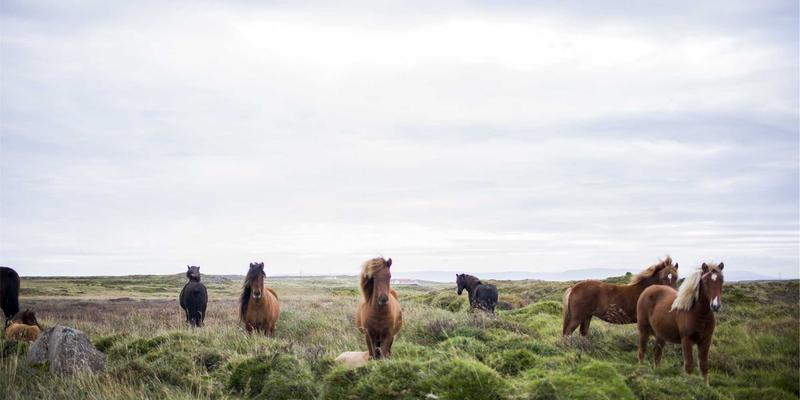 郑州不锈钢水箱定制安装全攻略:选材、工艺与专业公司的价值